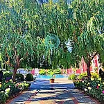 Sorrento Sole Mare - By The